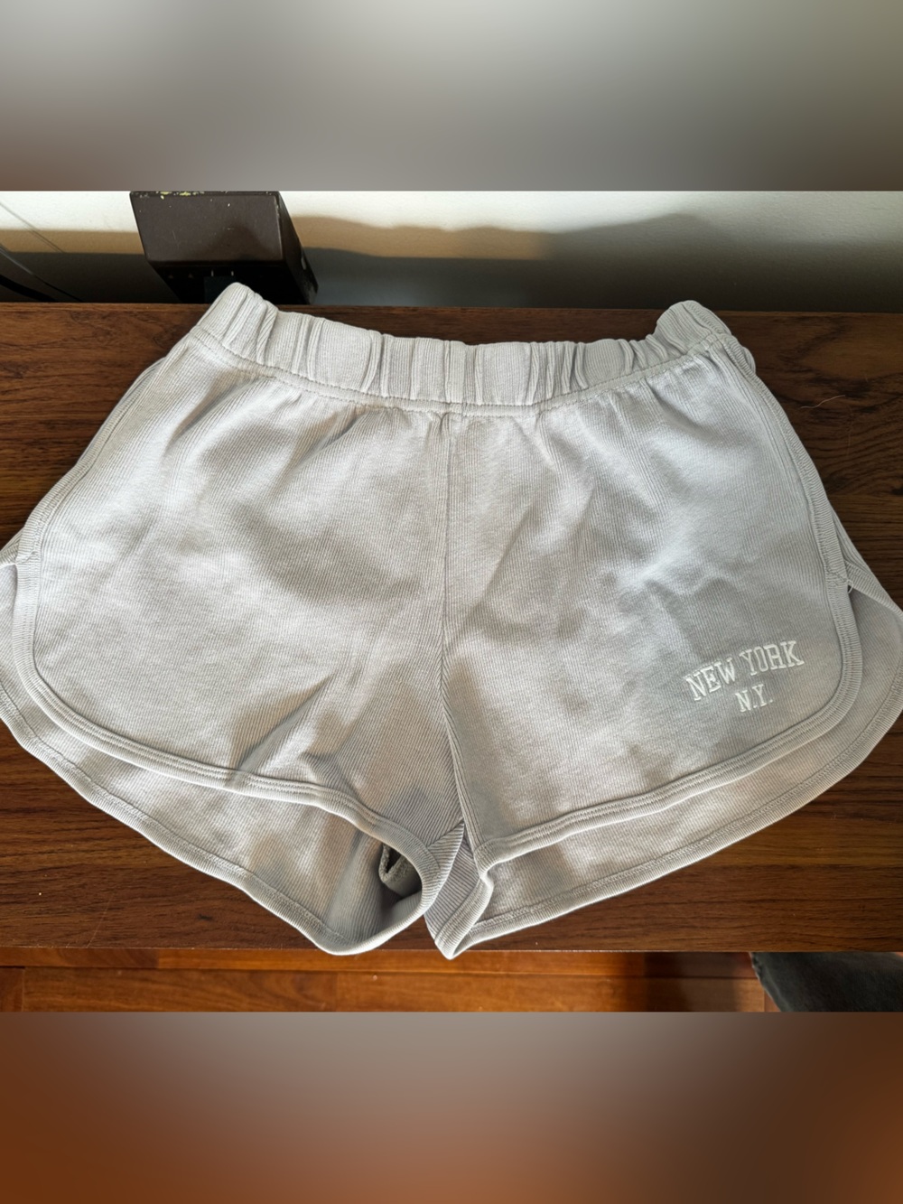 Brandy Melville Light Blue Elastic-Waist Shorts